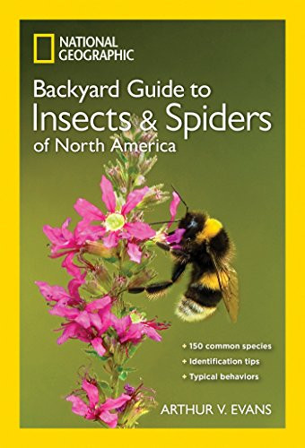 National Geographic Backyard Guide to Insects and Spiders of North