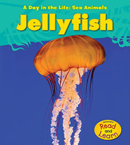 Jellyfish (A Day in the Life: Sea Animals)
