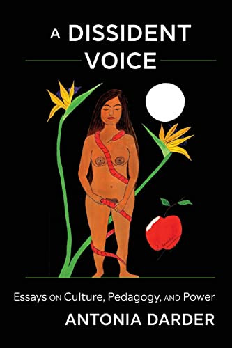 Dissident Voice: Essays on Culture Pedagogy and Power