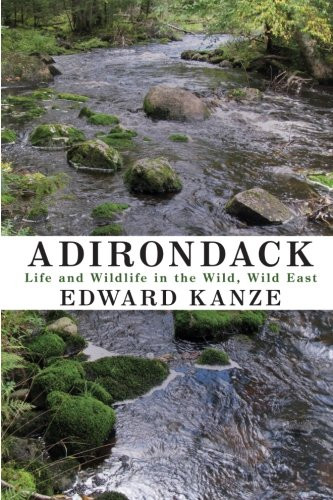Adirondack: Life and Wildlife in the Wild Wild East