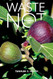 Waste Not: A Jewish Environmental Ethic