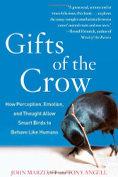 Gifts of the Crow: How Perception Emotion and Thought Allow Smart