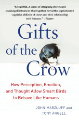 Gifts of the Crow: How Perception Emotion and Thought Allow Smart