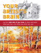 Your Artist's Brain: Use the right side of your brain to draw