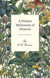 Picture Dictionary of Flowers