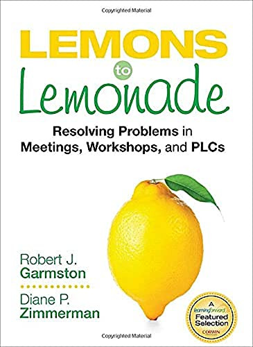 Lemons to Lemonade: Resolving Problems in Meetings Workshops
