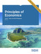 Principles of Economics Version 9.1