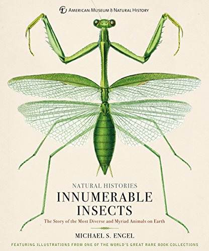Innumerable Insects: The Story of the Most Diverse and Myriad Animals