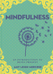 Little Bit of Mindfulness: An Introduction to Being Present Volume 13