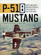 P-51B Mustang: North American's Bastard Stepchild that Saved