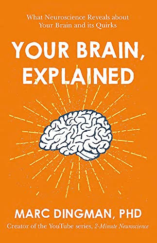 Your Brain Explained