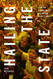 Hailing the State: Indian Democracy between Elections