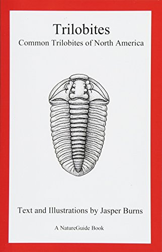 Trilobites: Common Trilobites of North America