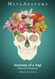 MetaAnatomy: Anatomy of a Yogi