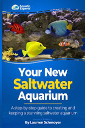 Your New Saltwater Aquarium
