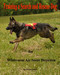 Training a Search and Rescue Dog: for Wilderness Air Scent