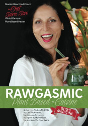 Rawgasmic Plant Based Cuisine "God's Medicine"