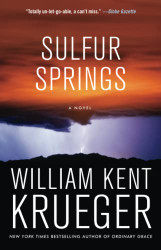 Sulfur Springs: A Novel