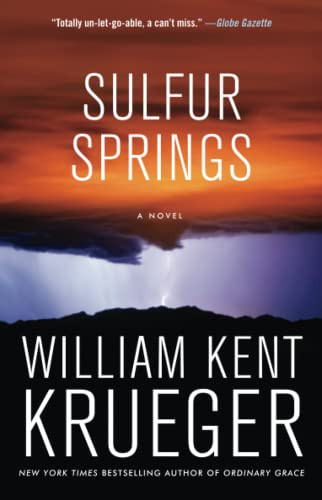 Sulfur Springs: A Novel