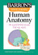Visual Learning: Human Anatomy: An illustrated guide for all ages