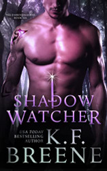 Shadow Watcher (Darkness 6) (Volume 6)