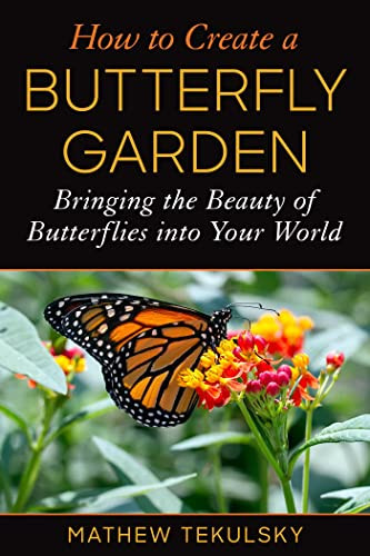 How to Create a Butterfly Garden