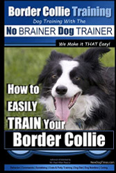Border Collie Training Dog Training with the No BRAINER Dog TRAINER