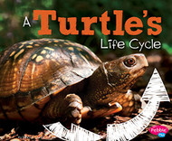 Turtle's Life Cycle (Explore Life Cycles)