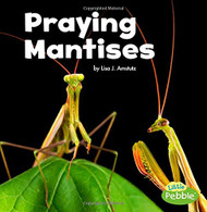 Praying Mantises (Little Critters)