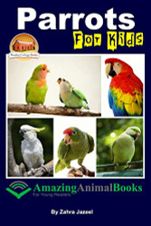 Parrots For Kids Amazing Animal Books For Young Readers
