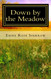 Down by the Meadow (Books for Dementia Patients)
