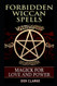 Forbidden Wiccan Spells: Magick for Love and Power
