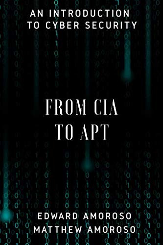 From CIA to APT: An Introduction to Cyber Security