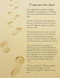 Footprints in the Sand: A Large
