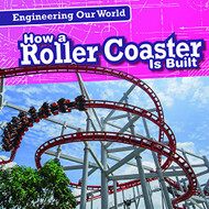 How a Roller Coaster Is Built (Engineering Our World)