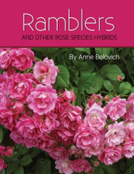 RAMBLERS And Other Rose Species Hybrids