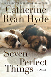 Seven Perfect Things: A Novel