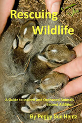 Rescueing Wildlife: A Guide to Helping Injured & Orphaned Animals