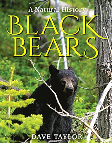 Black Bears: A Natural History
