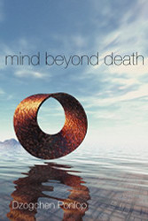 Mind Beyond Death