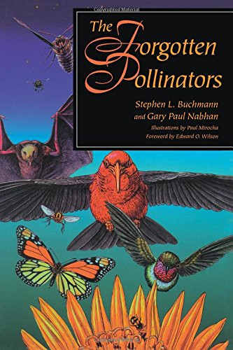 Forgotten Pollinators