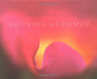 Looking for the Summer