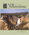 Yellowstone Wild and Beautiful
