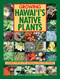 Growing Hawaii's Native Plants