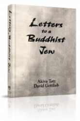 Letters to a Buddhist Jew