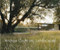 Andrea Cochran: Landscapes