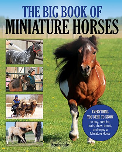 Big Book of Miniature Horses