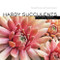 Hardy Succulents: Tough Plants for Every Climate