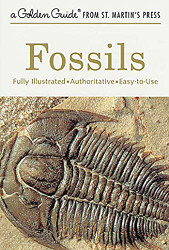 Fossils: A Fully Illustrated Authoritative and Easy-to-Use Guide