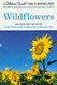 Wildflowers: A Fully Illustrated Authoritative and Easy-to-Use Guide